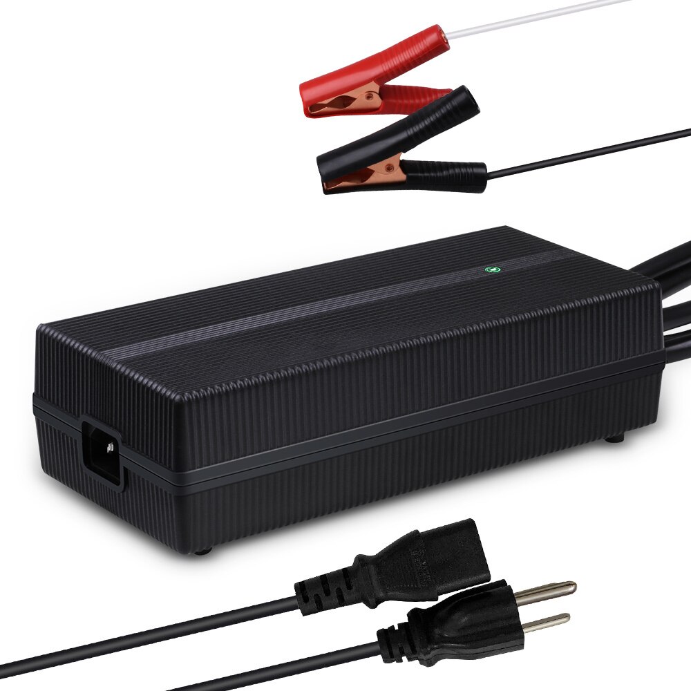 20A LFP Portable Battery Charger